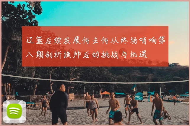 辽篮后续发展何去何从终场哨响第八期剖析换帅后的挑战与机遇