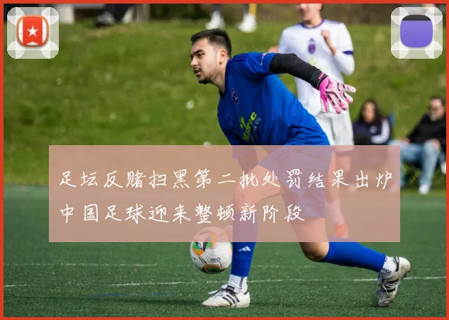 足坛反赌扫黑第二批处罚结果出炉中国足球迎来整顿新阶段
