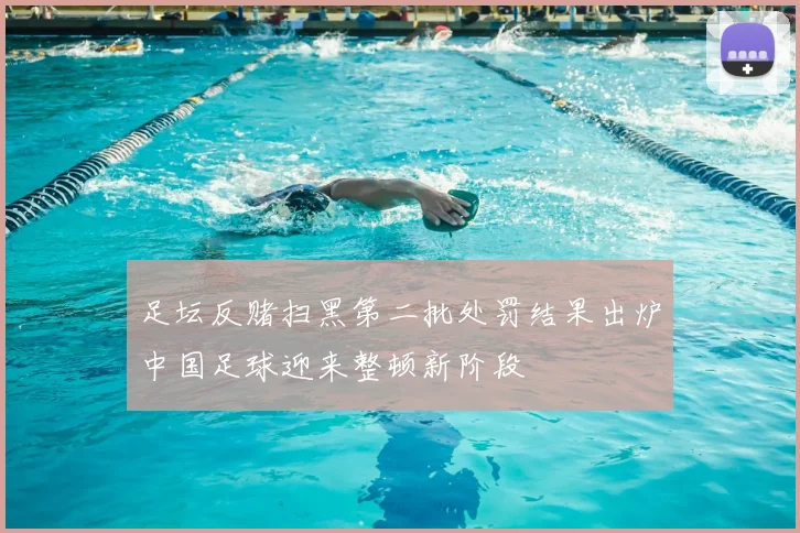 足坛反赌扫黑第二批处罚结果出炉中国足球迎来整顿新阶段
