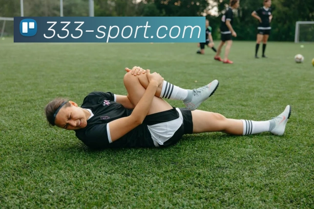 333体育(333 SPORTS)官方授权体育信息服务中心APP 封面图